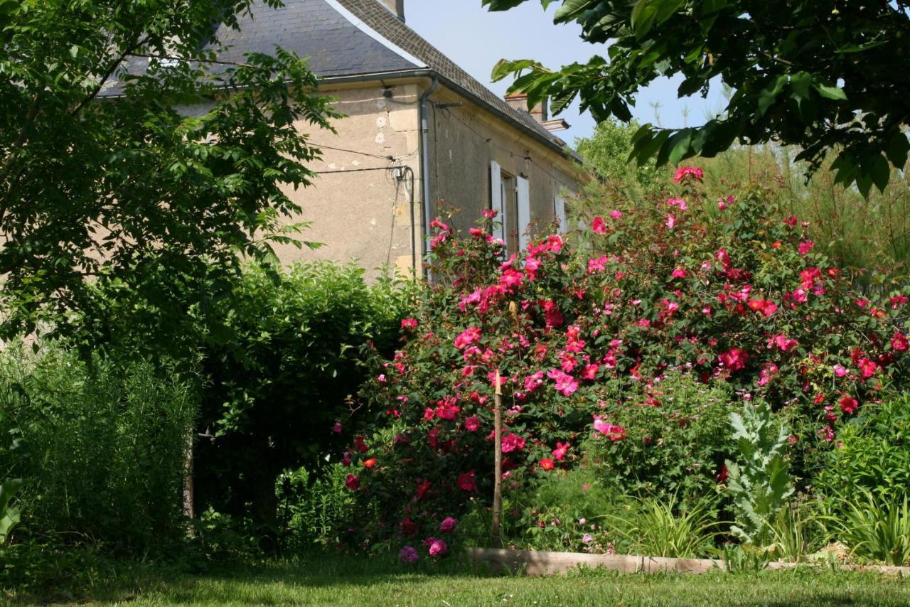 Chambres D'Hotes Du Jay La Guerche-sur-l'Aubois Kültér fotó